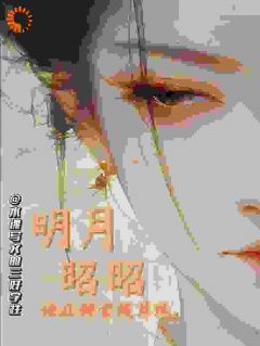 沈知微顾昭小说 《明月昭昭:她在朝堂拨算珠》小说全文在线试读