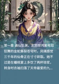 九霄共枕帝姬与龙君