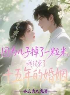 因为儿子掉了一粒米，我结束了十五年的婚姻