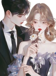 《失忆后他让我嫁别人,我领证后他却悔疯》免费阅读 陆衍沈浩苏雅在线阅读