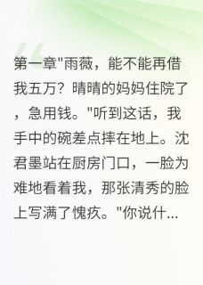 《老公装穷三年，为小三借了八百万》小说精彩章节免费试读（主角沈君墨苏晴）