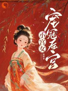 小宫女宠冠后宫