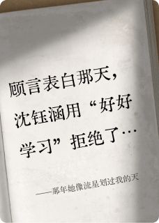 那年她像流星划过我的天