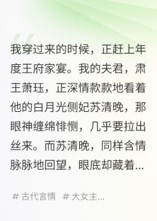 《你斗了半天,不知道我是穿越的吗》小说章节目录在线试读 萧珏苏清晚小说全文