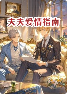 夫夫爱情指南