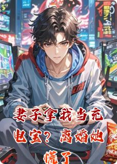 妻子拿我当充电宝？离婚她慌了完整全文全集精彩试读 妻子拿我当充电宝？离婚她慌了小说免费阅读