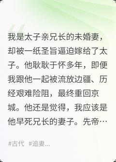 太子妃偷出宫,下江南做了个寡妇