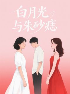 错过的朱砂痣，骗我的白月光