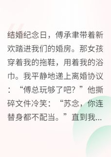 《念念再无归期》小说章节列表精彩阅读 苏念傅承聿小说阅读