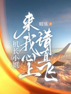 机长小姐,来我心上请直飞