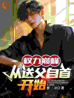 权力巅峰:从送父自首开始