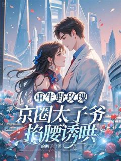 《重生野玫瑰，京圈太子爷掐腰诱哄》小说章节在线阅读 黎初沈煜小说全文
