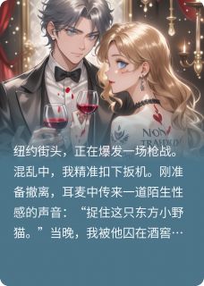 《东方小野猫的草莓小蛋糕大佬》恩泽霍尔章节列表精彩阅读