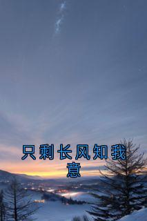 只剩长风知我意