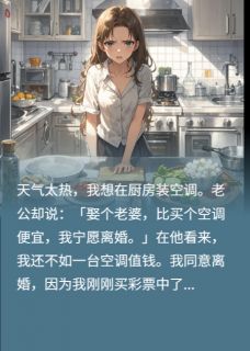 《为了在厨房装空调,我离婚了》小说免费阅读 《为了在厨房装空调,我离婚了》最新章节列表