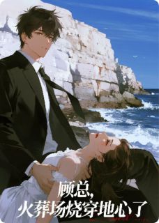 顾总，火葬场烧穿地心了