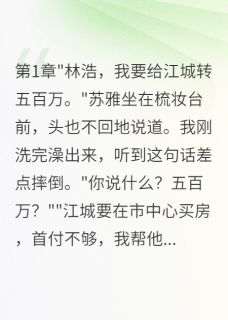 老婆给初恋五百万买房我要离婚全章节免费在线阅读 苏雅小诺江城小说完结版