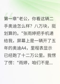 《老婆给表弟一个亿，给我买二手车》小说章节在线试读 张雨婷小宇陈俊杰小说全文