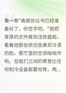 沈修苏晚by锦字流年 结婚三年如室友,离婚时他求别走小说完整篇在线阅读