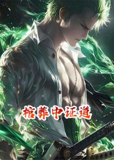 棺葬中证道棺椁赵无极小说阅读 棺葬中证道文本免费试读