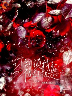 你别锁我了！不跑了就是