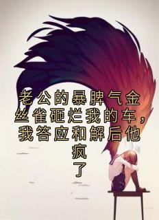 老公的暴脾气金丝雀砸烂我的车,我答应和解后他疯了