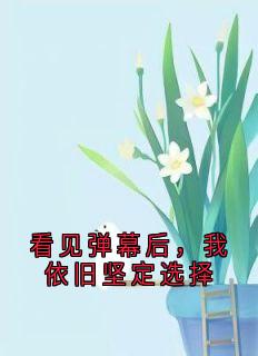 看见弹幕后,我依旧坚定选择