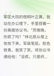 《军区首长求复合,我拒绝了》精彩章节列表在线试读 林北辰晚晚小说