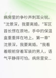 《离婚协议书一递,军区首长傻眼了》小说全文免费试读 沈景深晚晚小说阅读