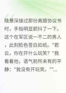 《重生:首长,我们离婚吧》陆景深若云完结版精彩阅读