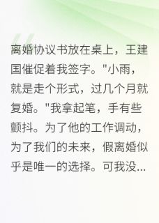 以为是假离婚,原来我是真傻子