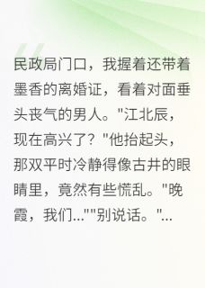 《那场假离婚,成了我一生的遗憾》完结版在线阅读 《那场假离婚,成了我一生的遗憾》最新章节列表