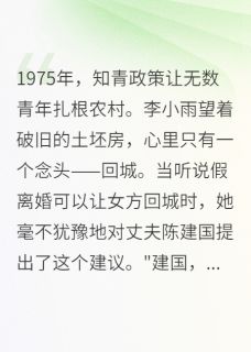 《回城假离婚,却栽在知青丈夫手里》小说章节精彩阅读 小雨老李回城小说全文