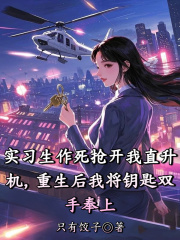 实习生作死抢开我直升机，重生后我将钥匙双手奉上