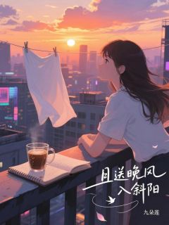 《且送晚风入斜阳》沈听雪顾凇年小说在线阅读