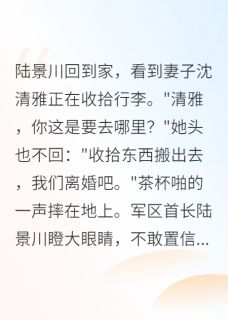前夫是首长,离婚后他慌了精彩章节免费试读 陆景川清雅小说结局无删节