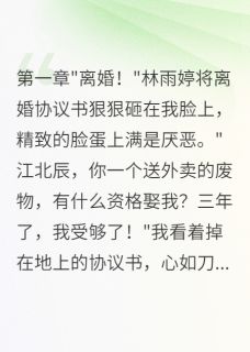 《为了真爱送外卖妻子嫌我穷要分手》林雨婷王美琴江北辰精彩章节在线阅读