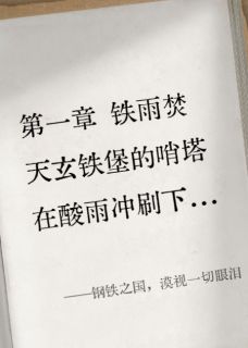钢铁之国,漠视一切眼泪