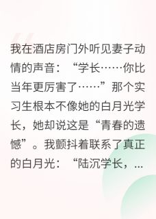 吴梦陆沉小说 吴梦陆沉免费阅读