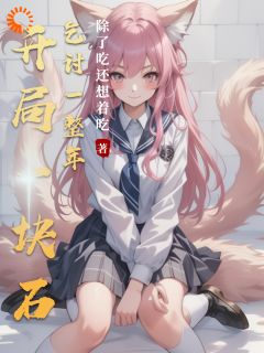 开局一块石乞讨一整年