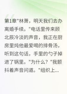 《老公假离婚后我带走八千万真离开》免费阅读 顾北辰萧萧苏晴雨小说免费试读