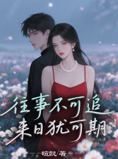 《往事不可追,来日犹可期》小说完结版精彩阅读 陆慕寒陈晓晓蒋芷菁小说全文