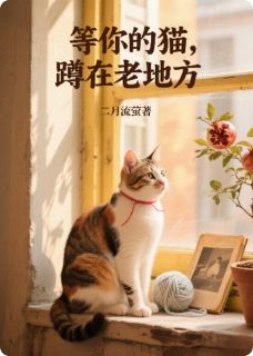 等你的猫,蹲在老地方