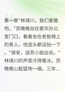 《前夫他真的不爱我了》小说章节精彩试读 苏晚晚林靖川小说阅读