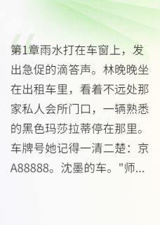 雨夜你陪白月光，我离婚后赚八亿完整目录在线阅读 (沈墨林晚晚) 大结局无弹窗