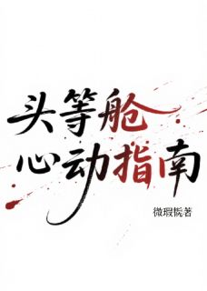 头等舱心动指南