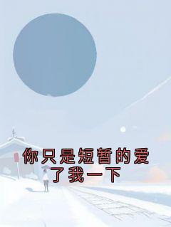 你只是短暂的爱了我一下