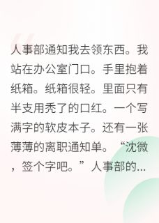 《替身生涯：离职金一定要拿足》小说全文免费阅读 《替身生涯：离职金一定要拿足》最新章节列表