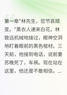 《前妻葬礼上的陌生女尸》小说章节目录免费阅读 林致远苏晚小说全文