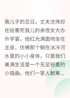 沈伟小杰沈玲玲全文目录 亡子忌日,我让婆家断子绝孙免费章节阅读
